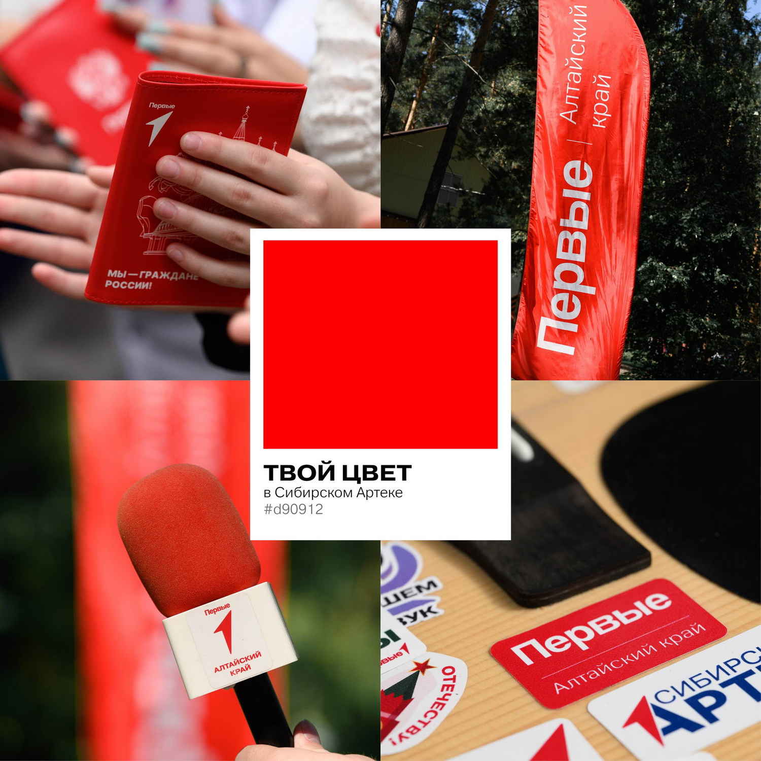 Цвет настроения «Сибирский Артек»!