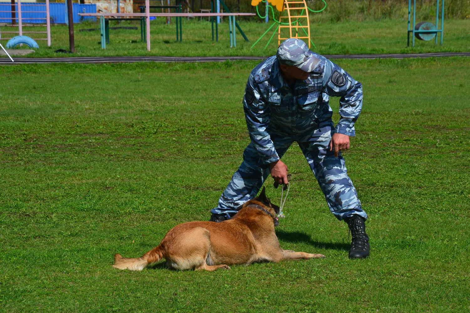 Собака - друг человека!